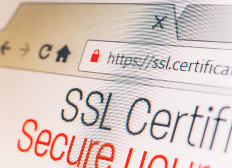 Securing your website